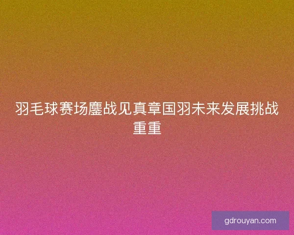 羽毛球赛场鏖战见真章国羽未来发展挑战重重