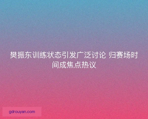 樊振东训练状态引发广泛讨论 归赛场时间成焦点热议