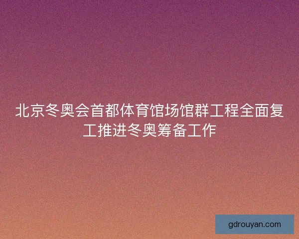 北京冬奥会首都体育馆场馆群工程全面复工推进冬奥筹备工作